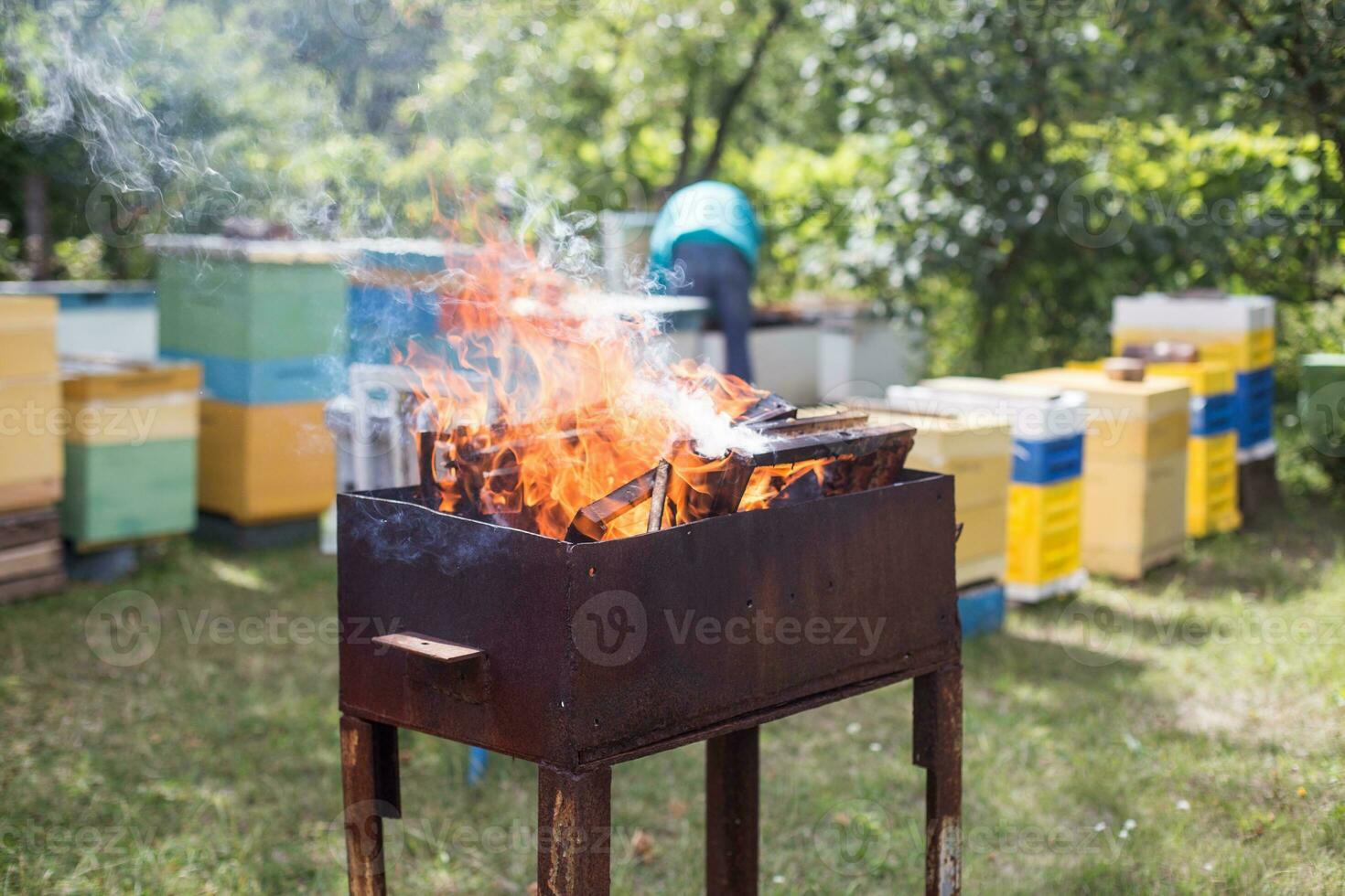 Burning frames of contaminated greater wax moths. Destruction of virus that struck bees on apiary. Disinfection of apiary from the varroa mite treatment. photo