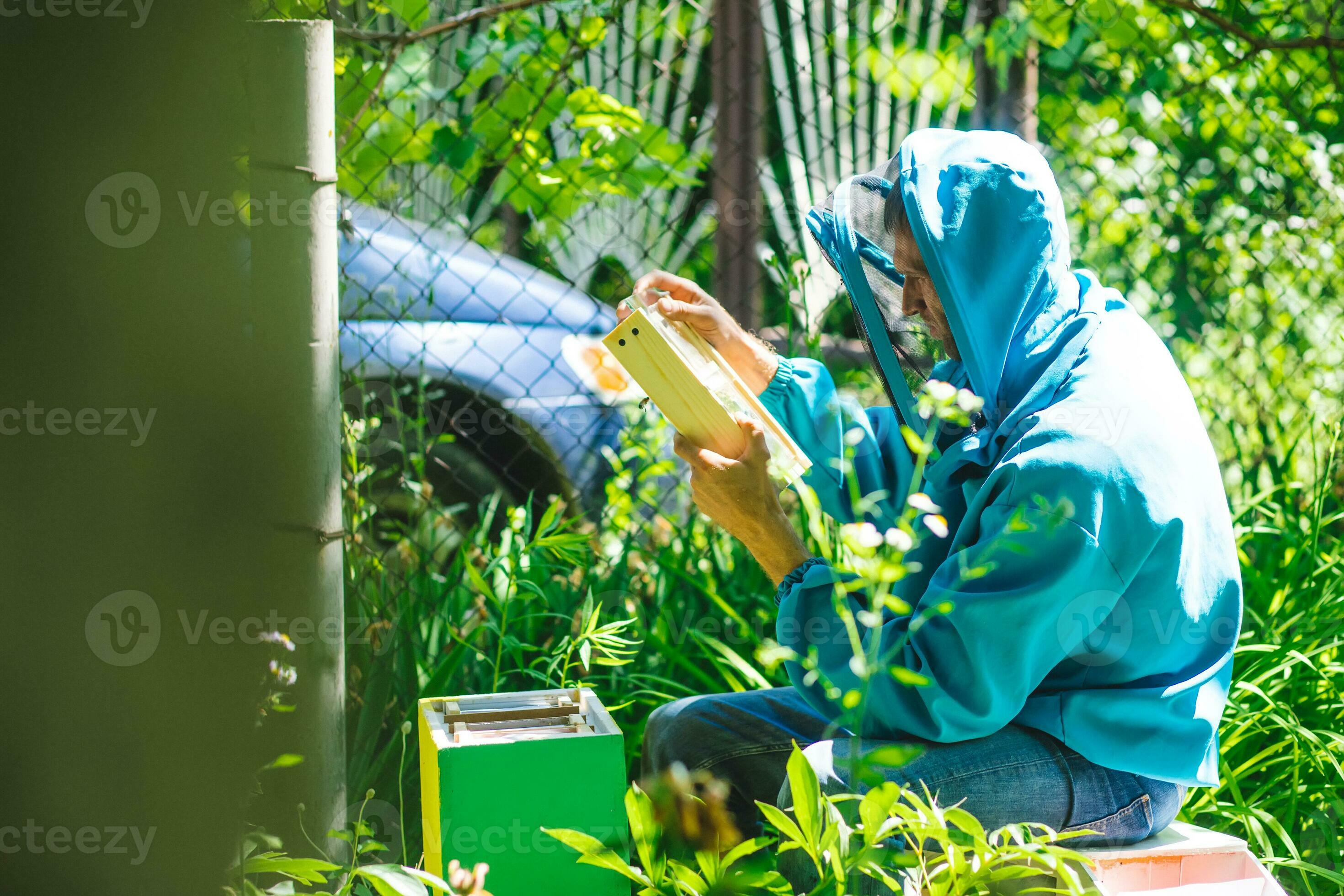 Beekeeper holding a small Nucleus with a young queen bee. Breeding of queen bees. Beeholes with