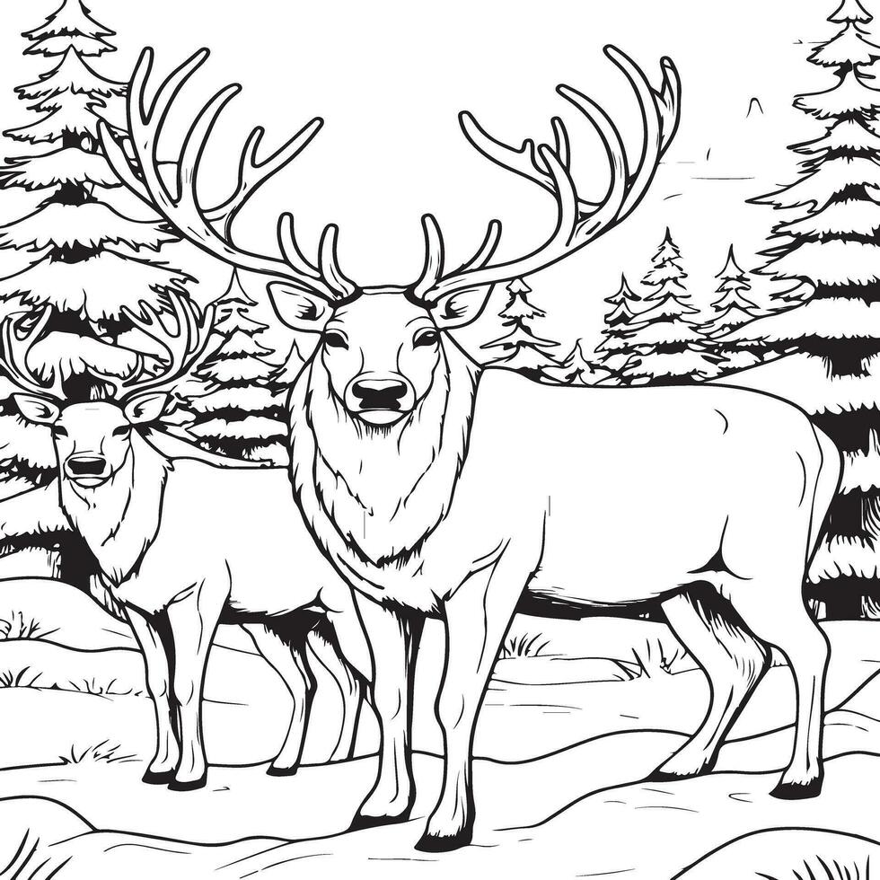 reindeers coloring page vector