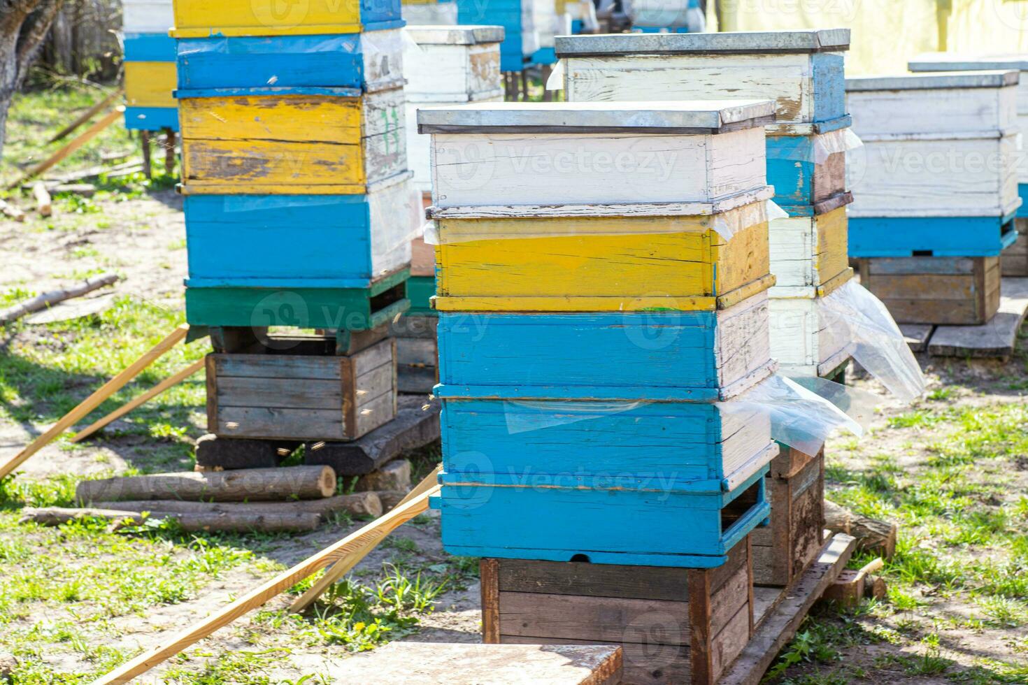 Old multihull hives on apiary in spring. Preparing bees for summer honey harvests. planks for bees that didn't make it to summer. Improving bee hives photo