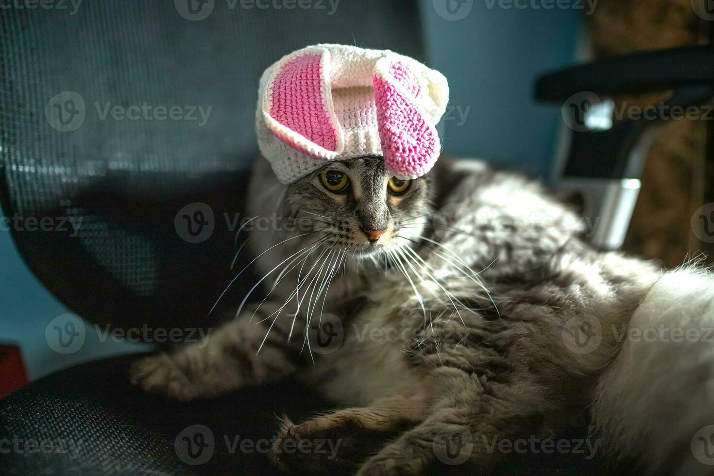 Funny cat in Easter bunny hat sits on computer chair photo