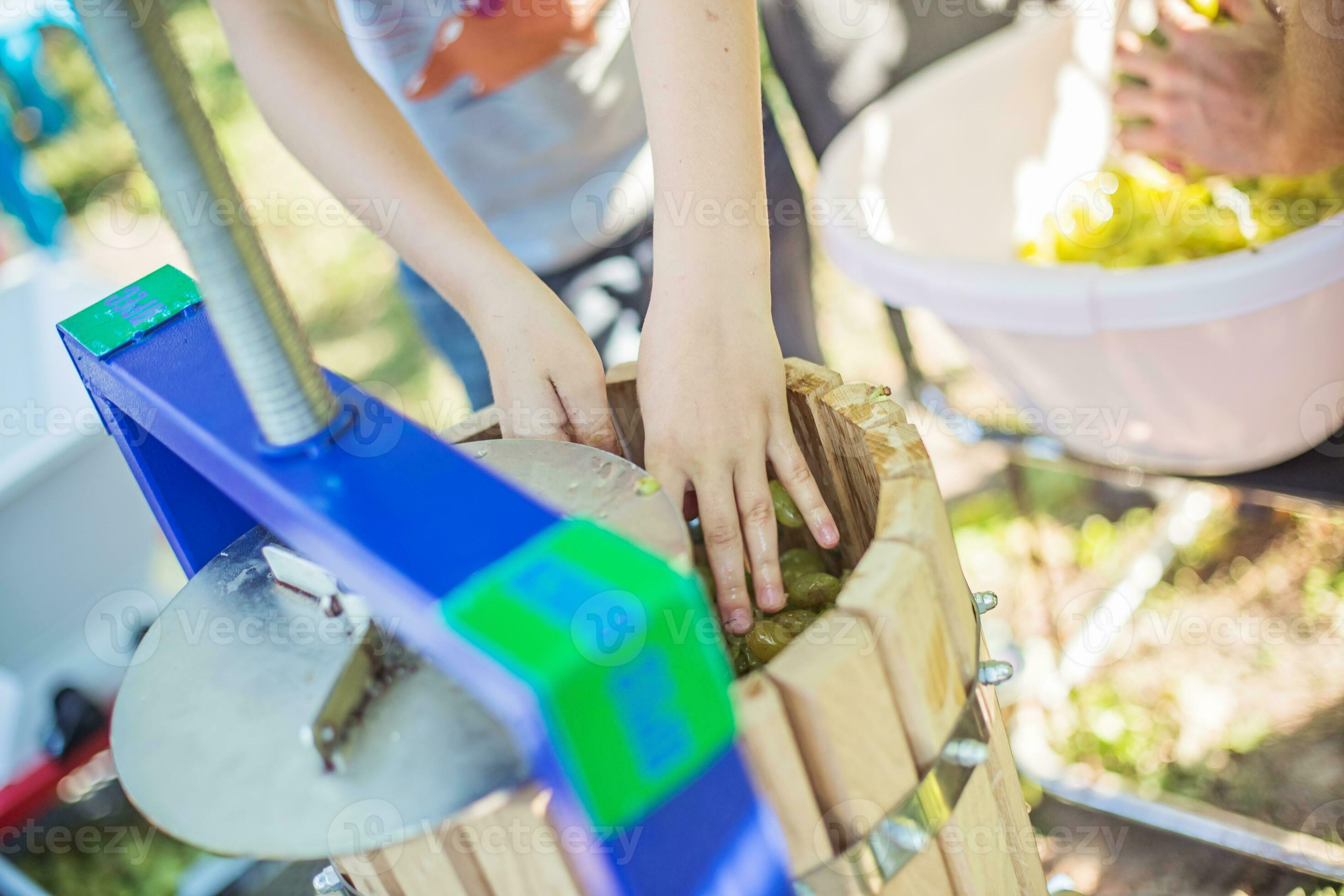 boy fills the grapes in a handmade juice. Manual mechanism for