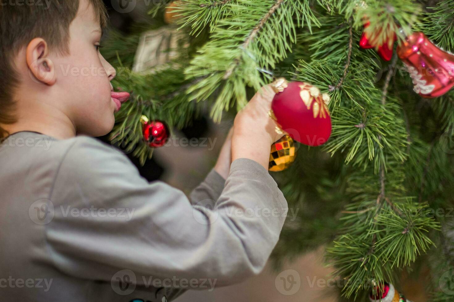 Boy clings a red ball on a branch of a Christmas tree at home. Preparing for Christmas at home. Real people. Decorating Christmas tree with a variety of toys photo