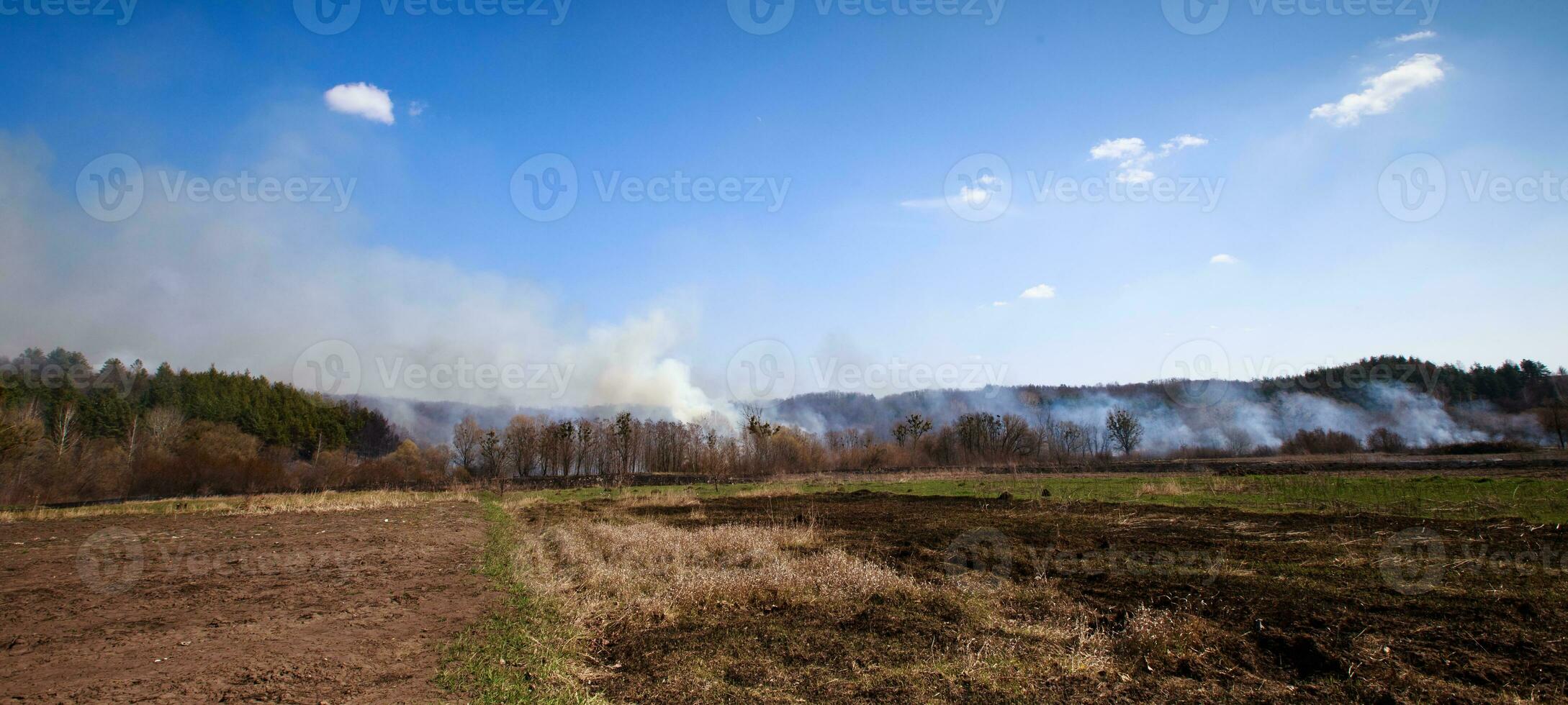 Burning dry grass in spring in the fields of Ukraine. photo