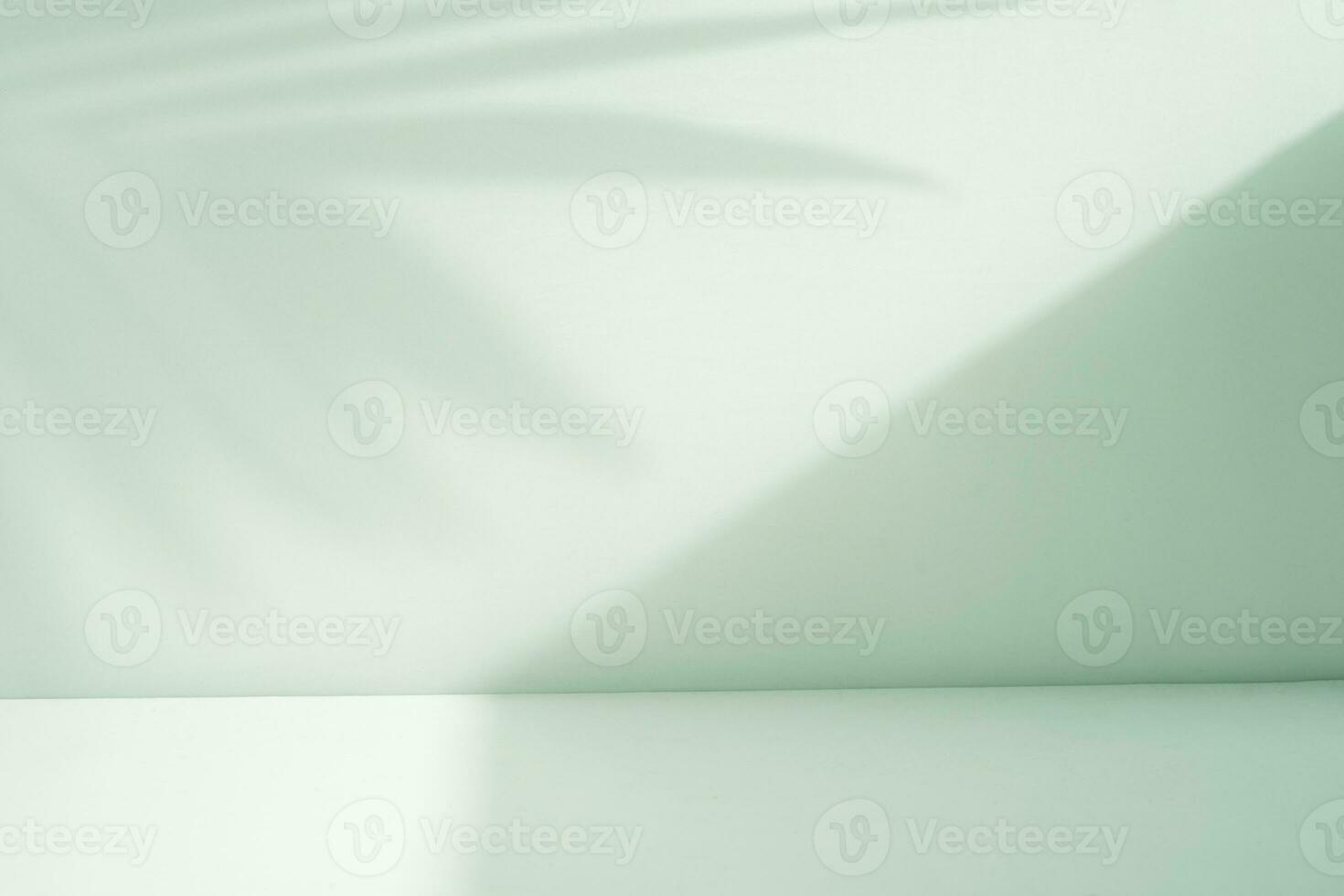 abstract green room with palm shadow background photo