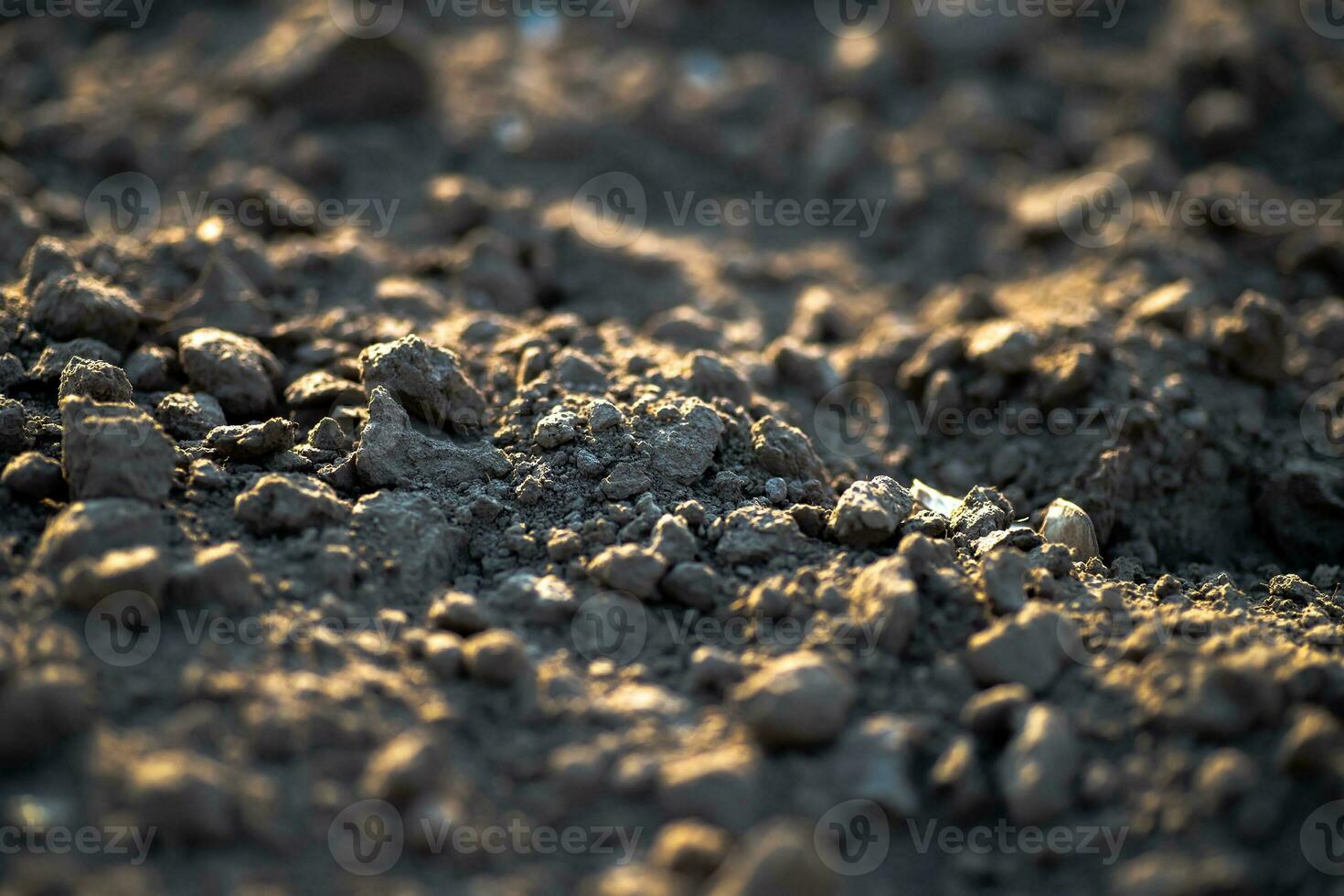 Black earth with sunlit ground mounds. ground before planting seeds and growing vegetables or soybeans. photo