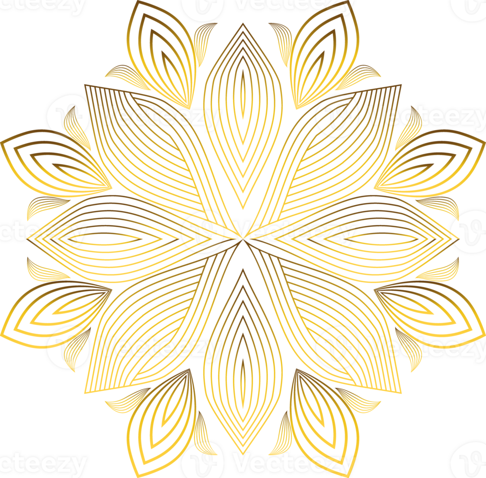 luxury golden flower petal png