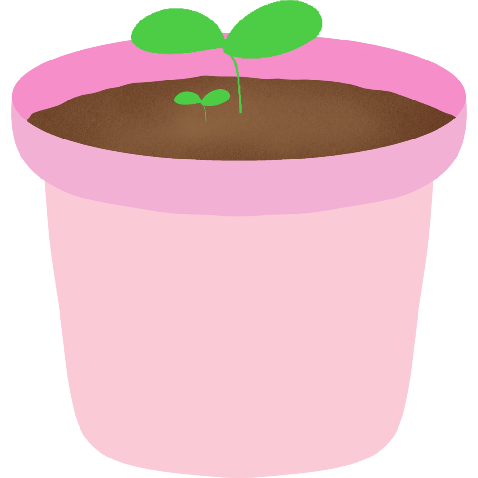 encantador pequeño árbol png