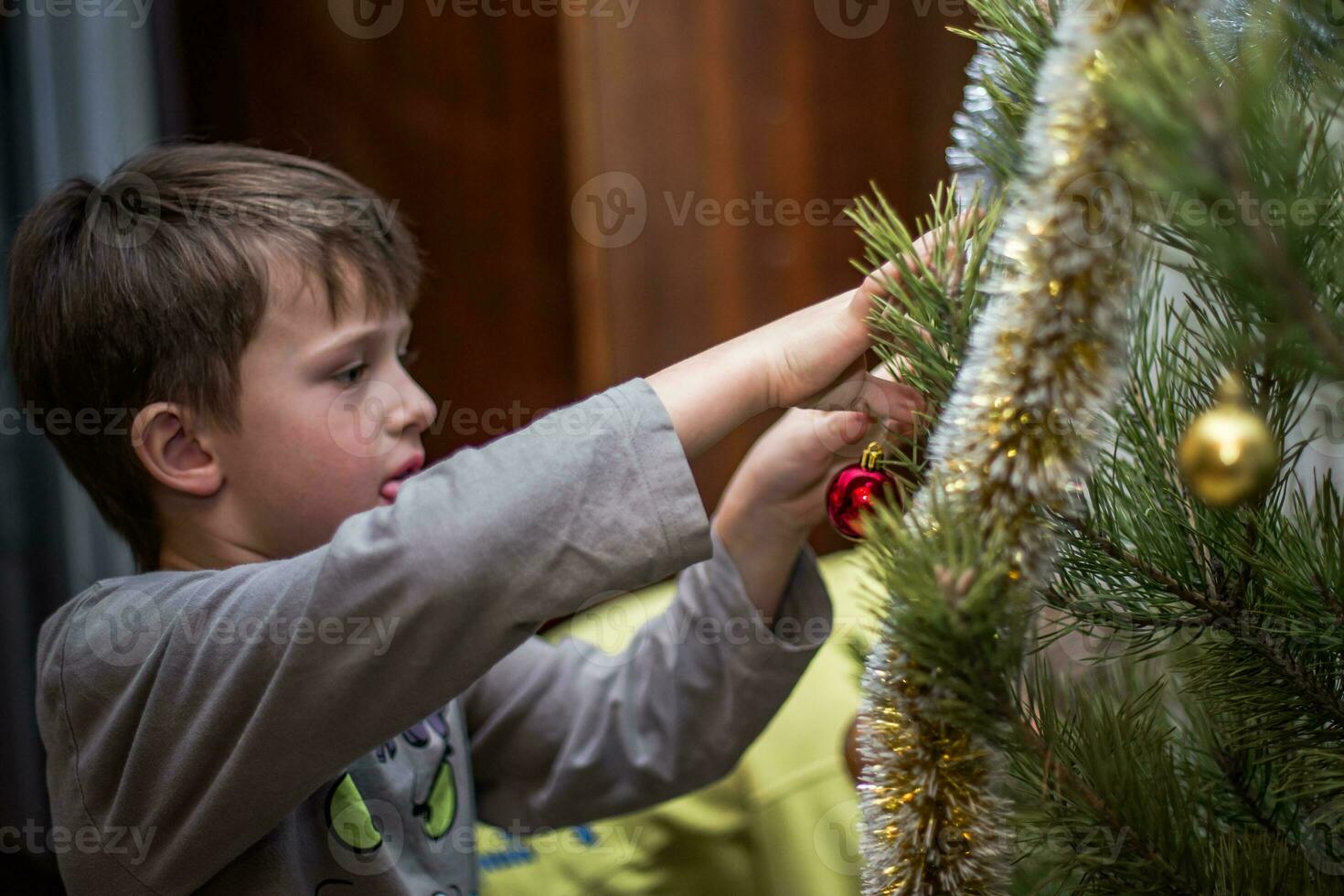 Boy clings a red ball on a branch of a Christmas tree at home. Preparing for Christmas at home. Real people. Decorating Christmas tree with a variety of toys photo