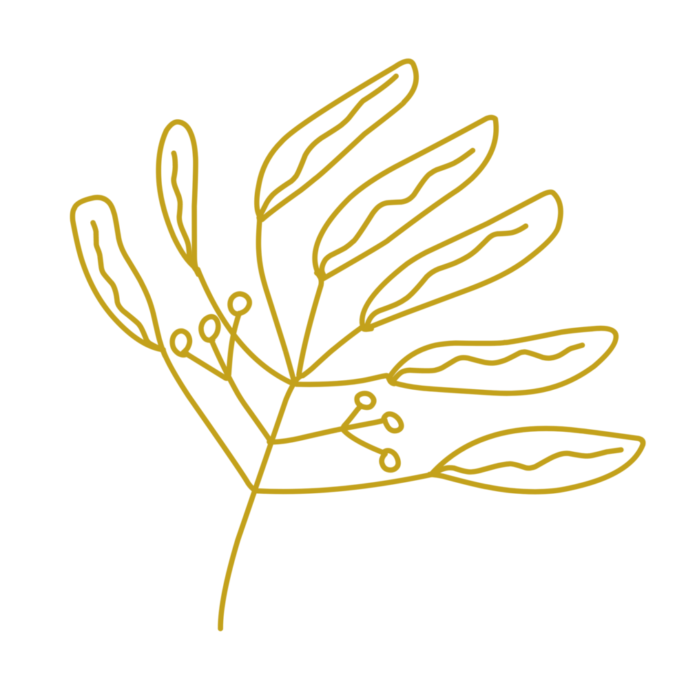 Gold leaf line png