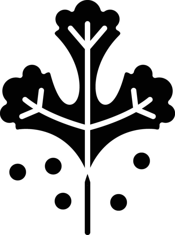 Coriander Vector Icon