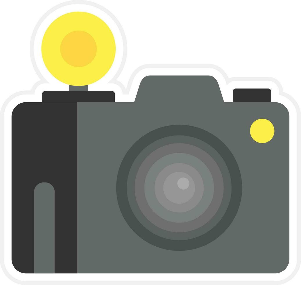 Flash Camera Vector Icon