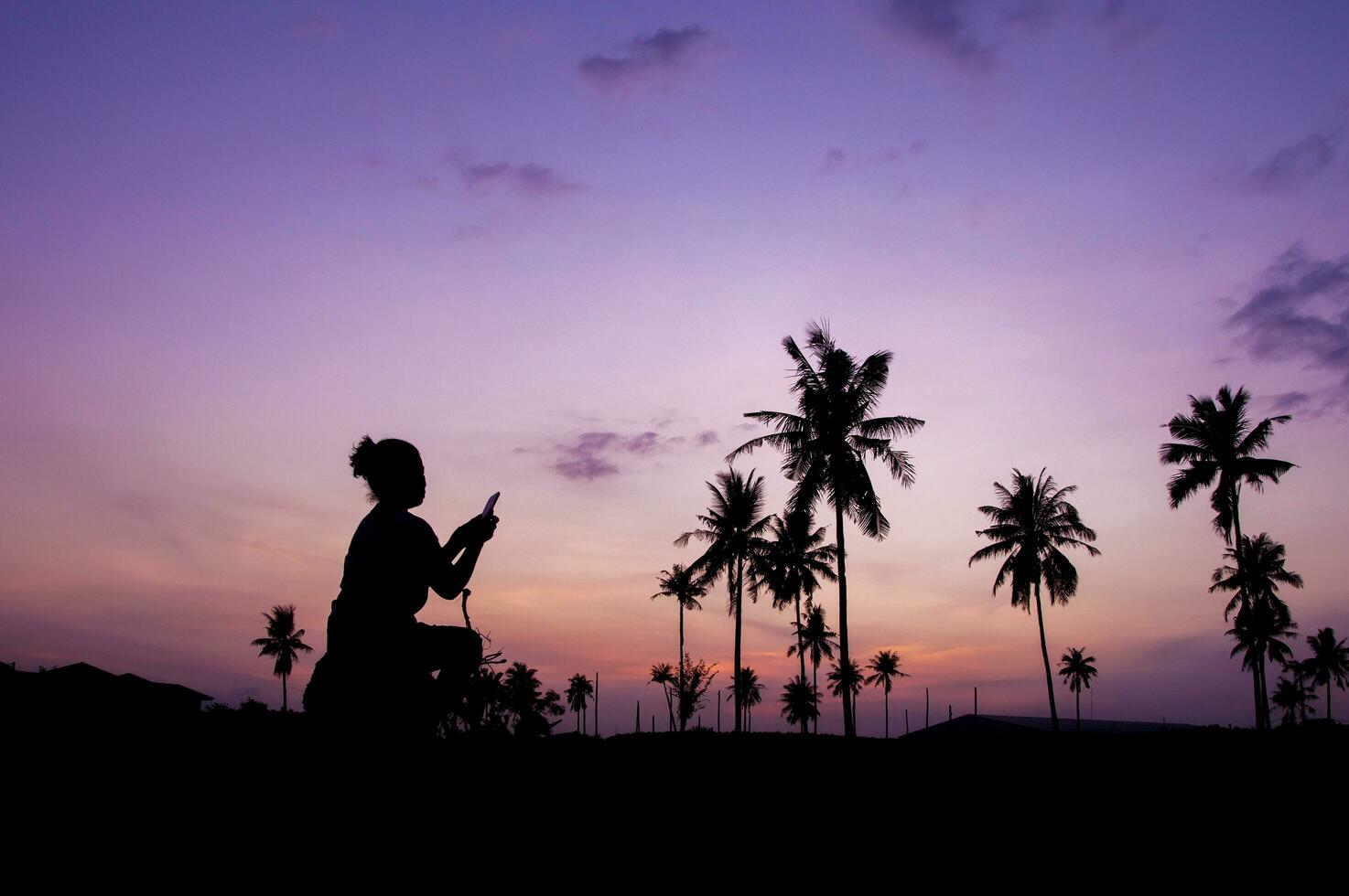 silhouette of a woman taking a photo of palm trees at sunset
