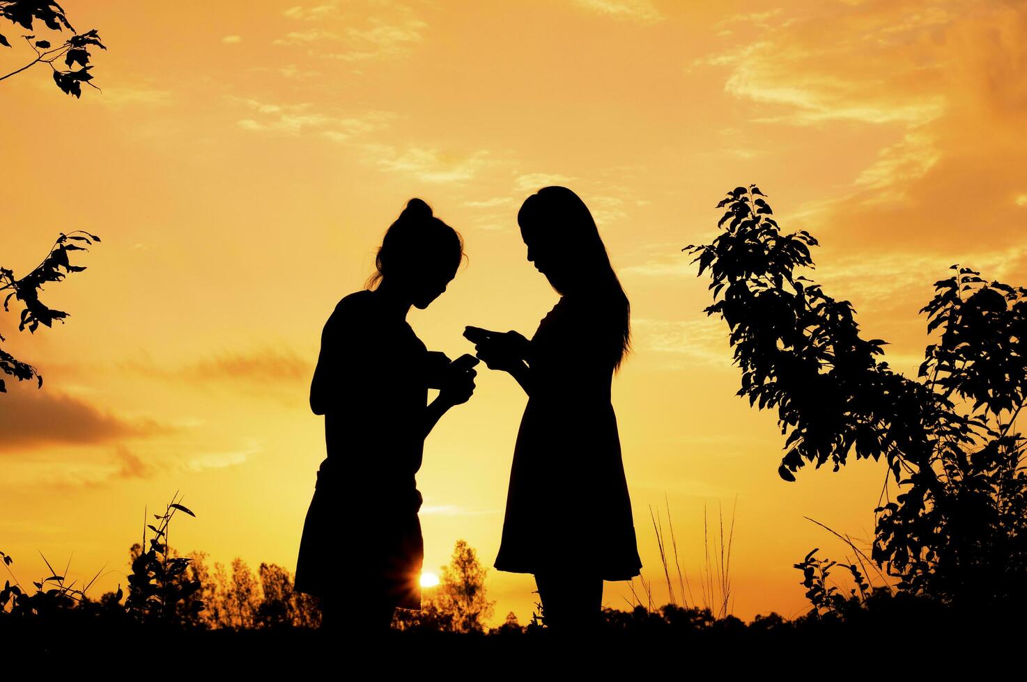 Phubbing, Silhouette of woman taking smart phone at sunset photo