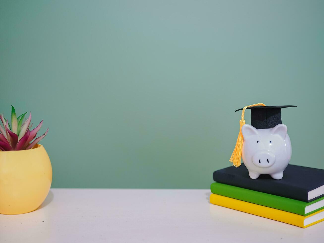 Piggy bank with graduation hat on colorful hardcover book, Potted cactus, Copy space for text, Back to school, Education concept photo