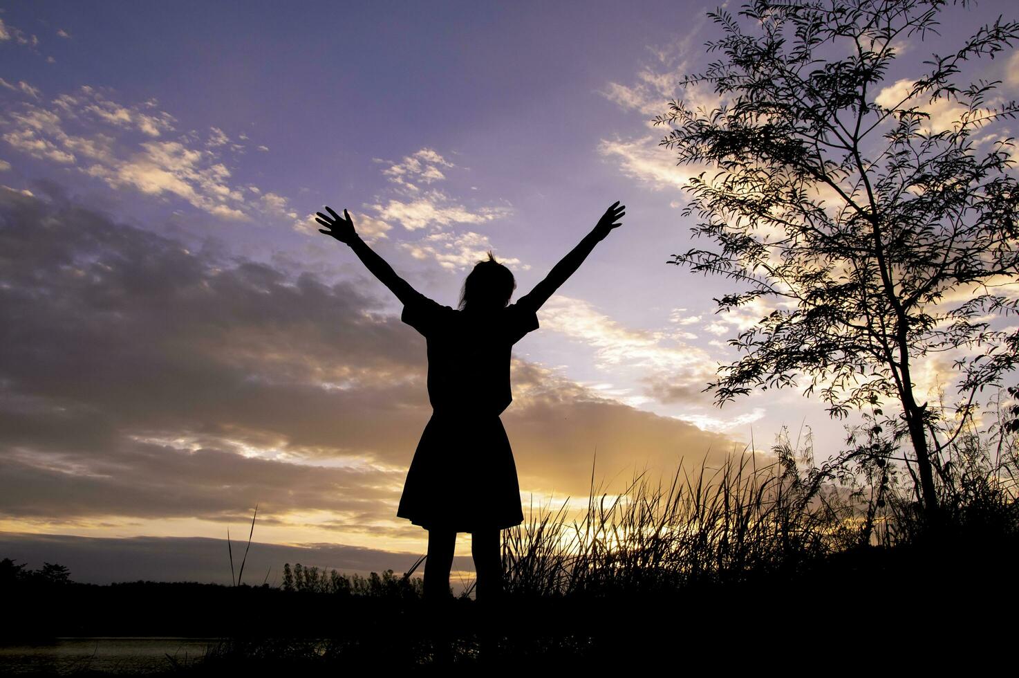 a silhouette of a person standing with their arms up photo