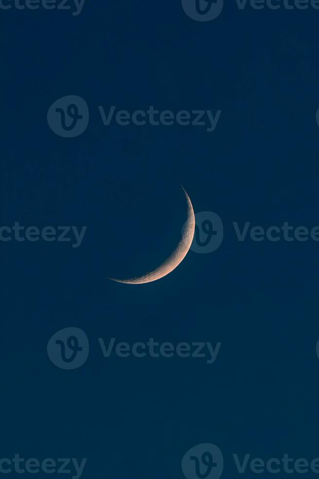 A crescent moon on a blue late evening sky. photo