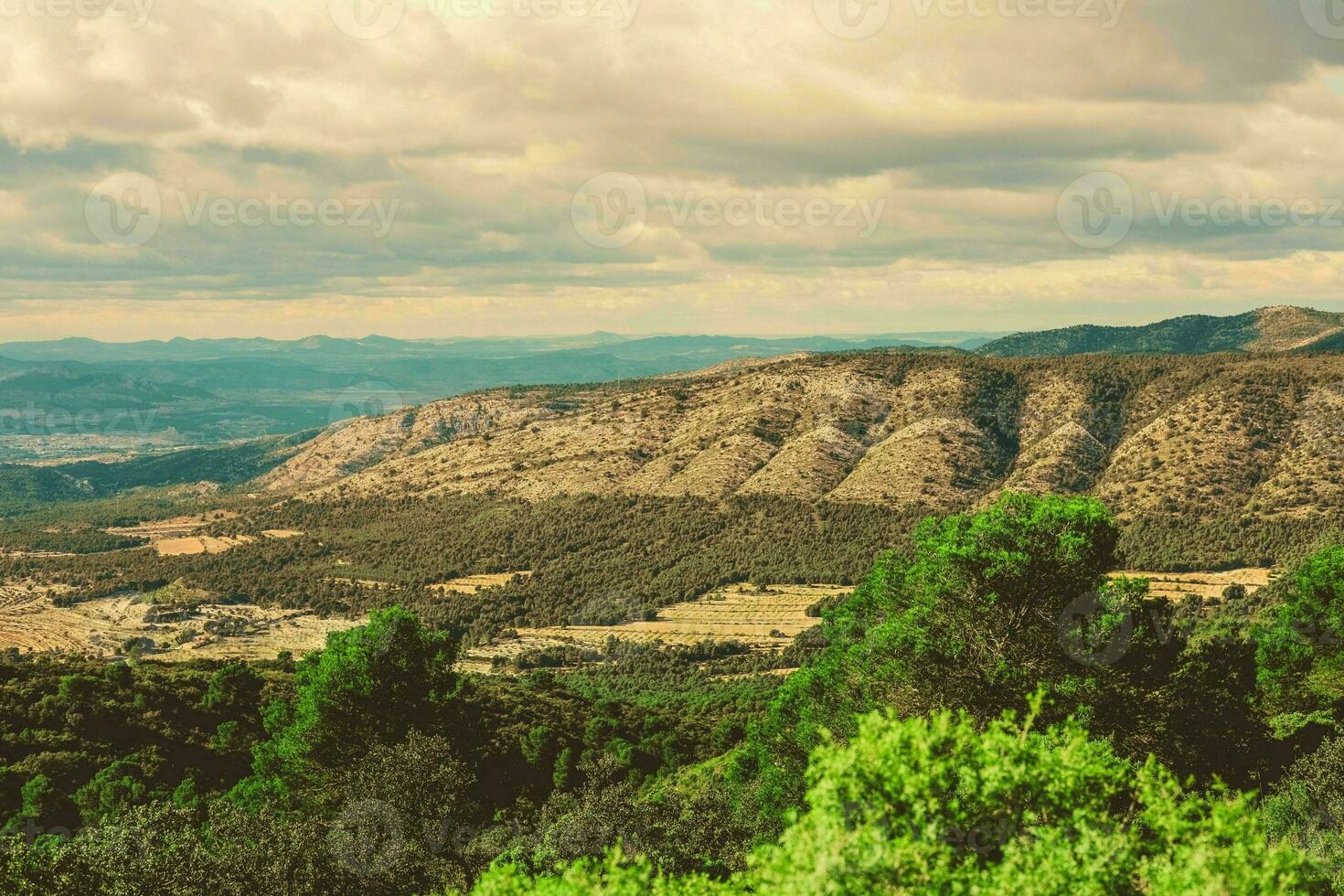 Magnificent view of the mountain and forest Spain,Pyrenees photo