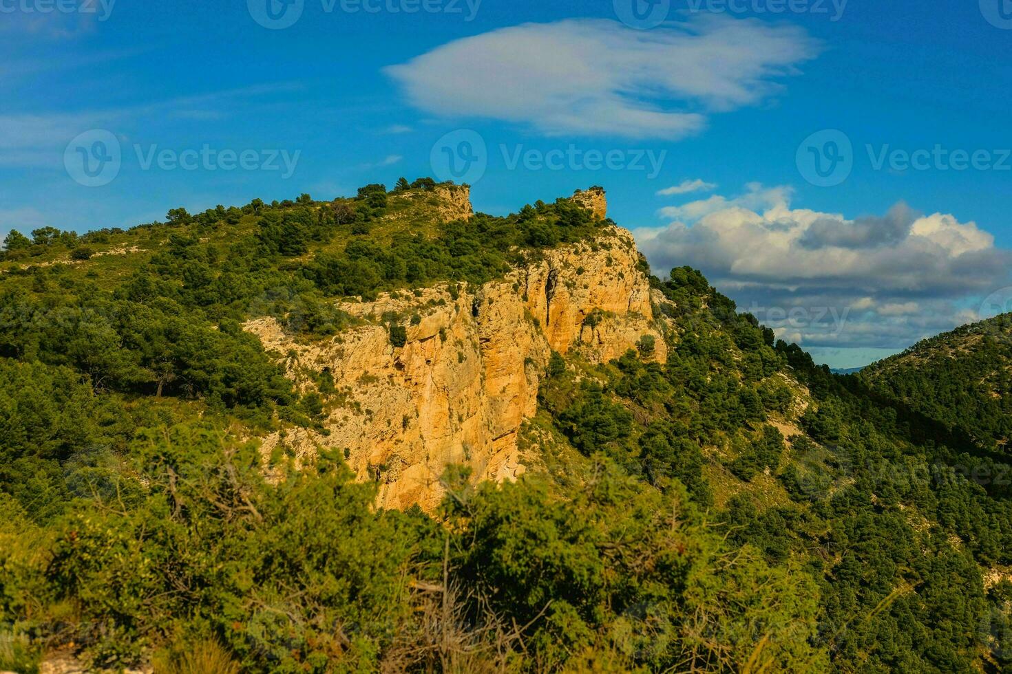 magnífico ver de el montaña y bosque España, Pirineos foto