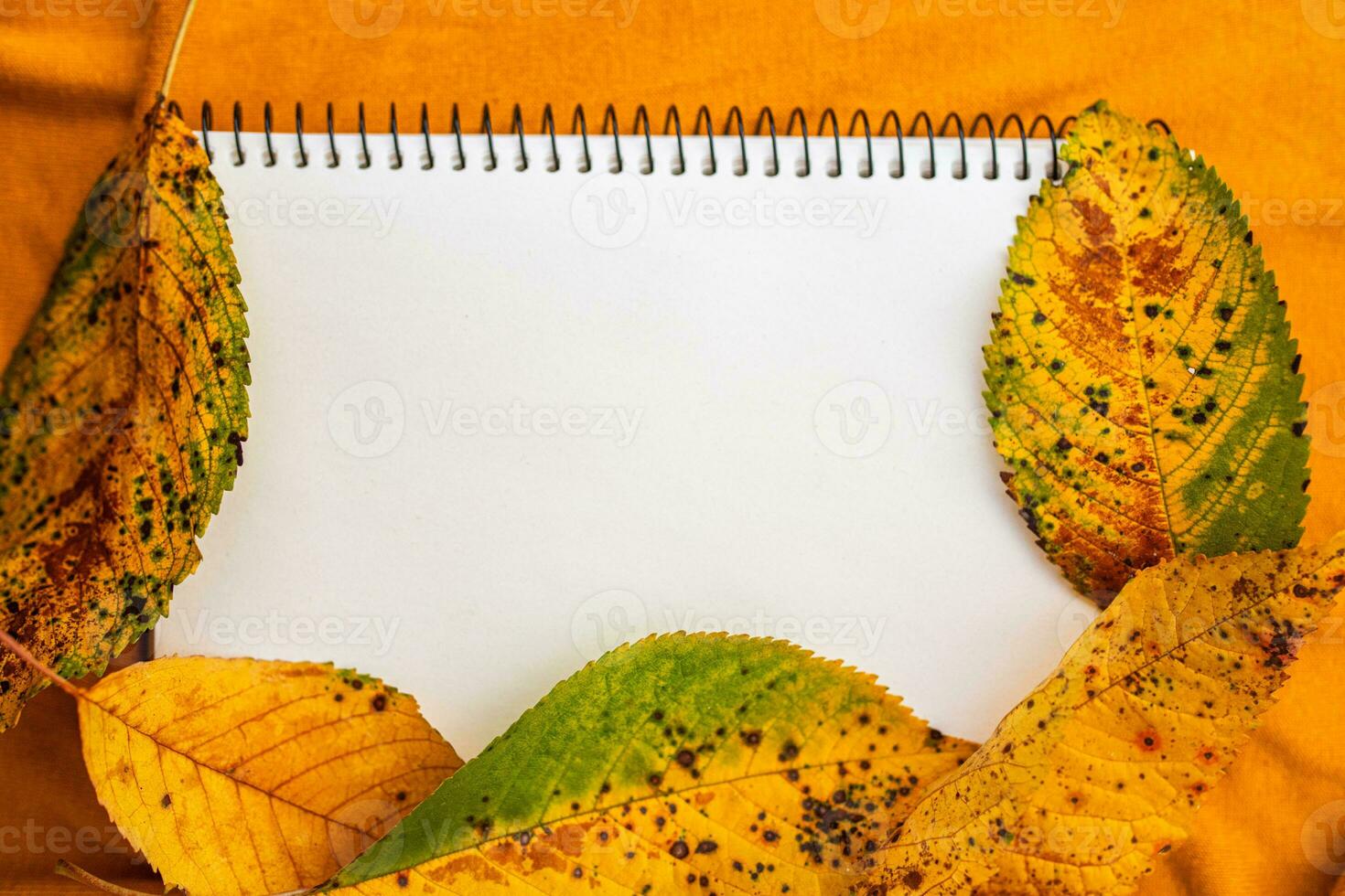 Blank calendar sheet with fall mount framed with autumn leaves on yellow textile background photo