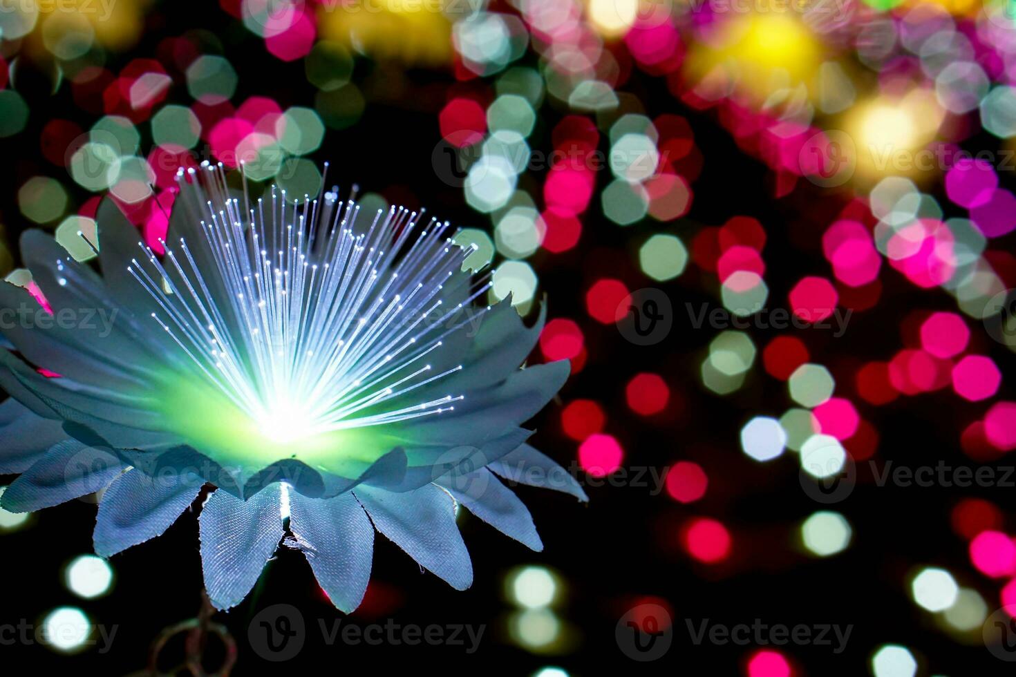 Closeup lighting flowers with light glowing up on colorful blurred and bokeh on night time background photo