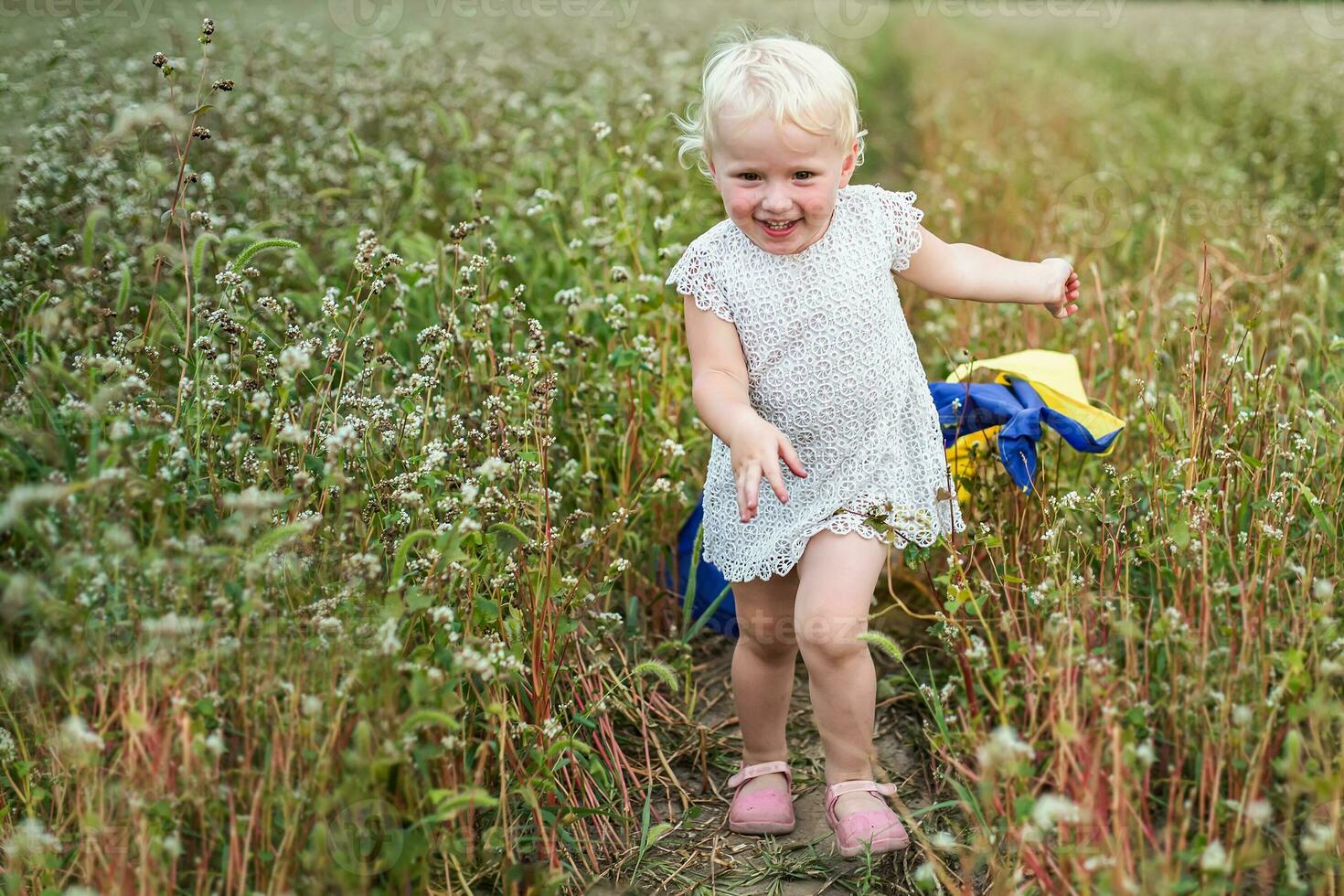 The flag of Ukraine is in the hands of a child looking up. Ukrainian girl in a field of blossoming buckwheat. day of Ukraine's insability. Unity Day photo