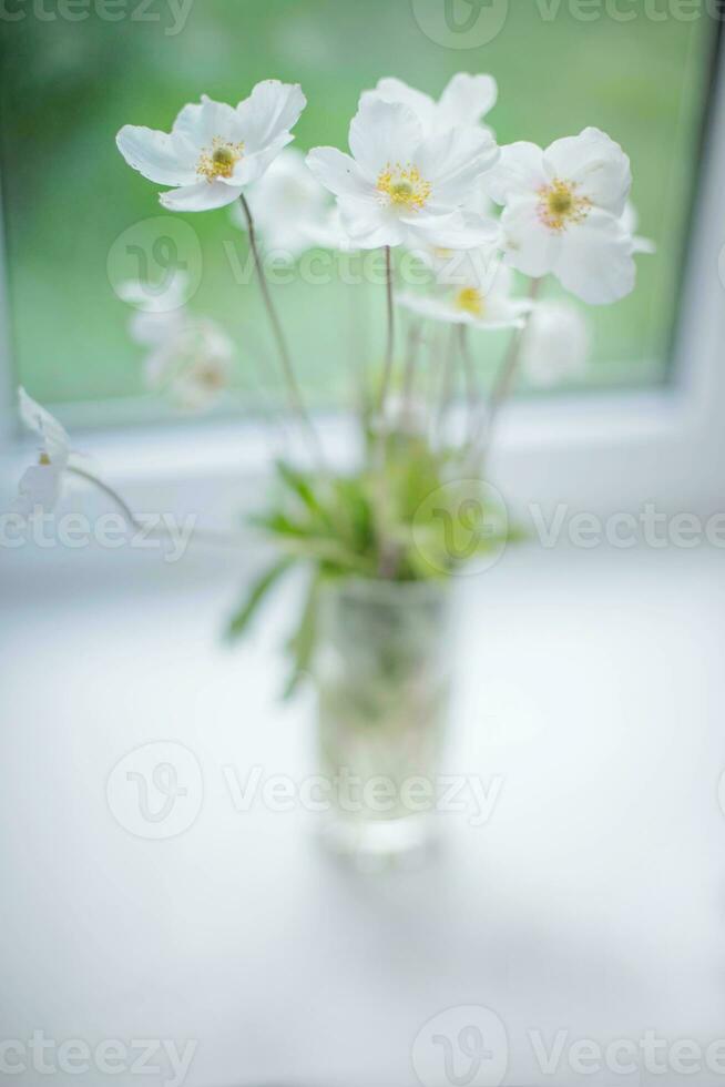blanco madera anémona flor con amarillo centrar en florero en borroso antecedentes en el antepecho cerca ventana foto