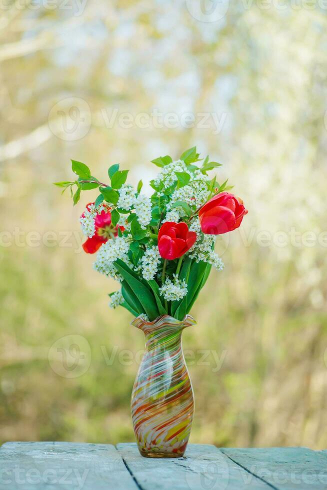 Still life of bird cherry and tulips. bouquet flowers on background of green grass. Background for greeting card with beginning of spring, March 8 or Valentine's Day. photo