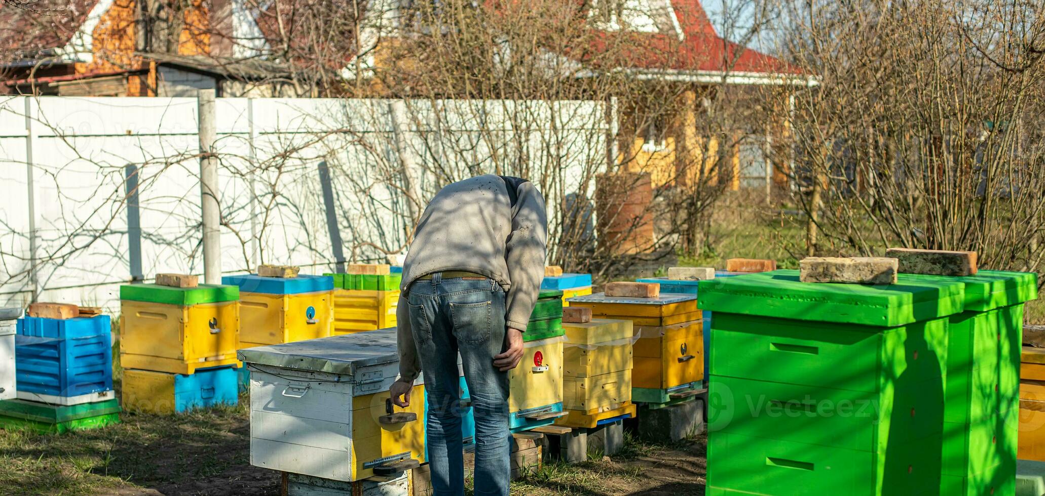 The beekeeper closes the honey bee hive flies in the apiary in the spring. . Selective focus, photo