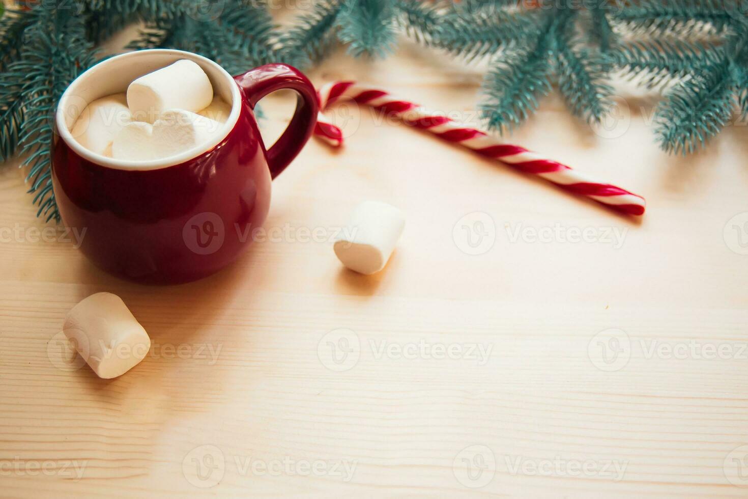 ed cups with hot chocolate or cocoa and marshmallow with Candy stick. Christmas concept with fir tree branches. Close-up, selective focus photo