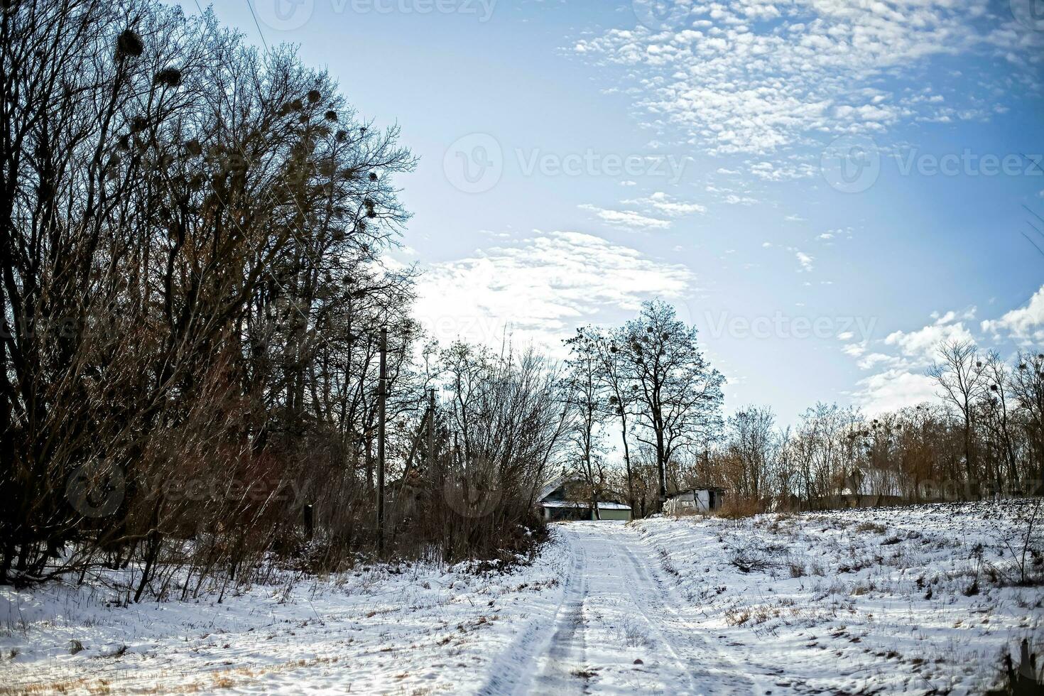 Old rustic house background. Winter rural scene. snow-covered road lit by rays of winter sun leading along bare dark trees photo