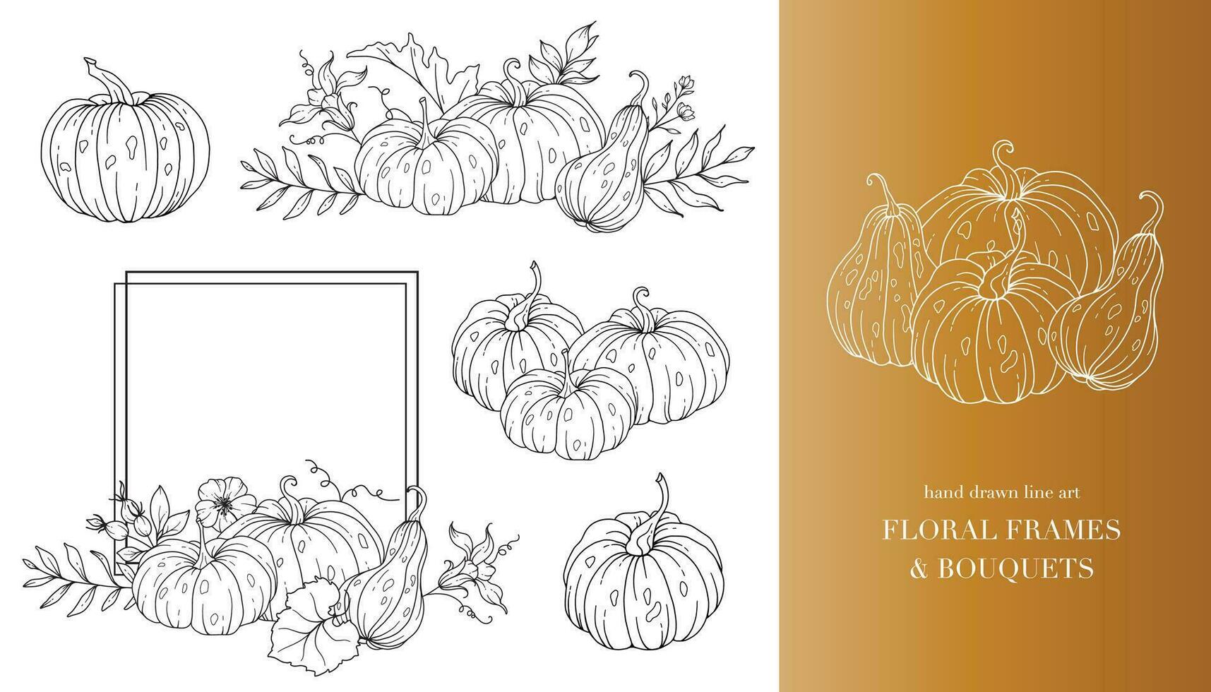 Pumpkins Line Art Illustration, Outline Pumpkin arrangement Hand Drawn Illustration. Coloring Page with Pumpkins.  Thanksgiving Pumpkins Frame. Thanksgiving Pumpkins set vector