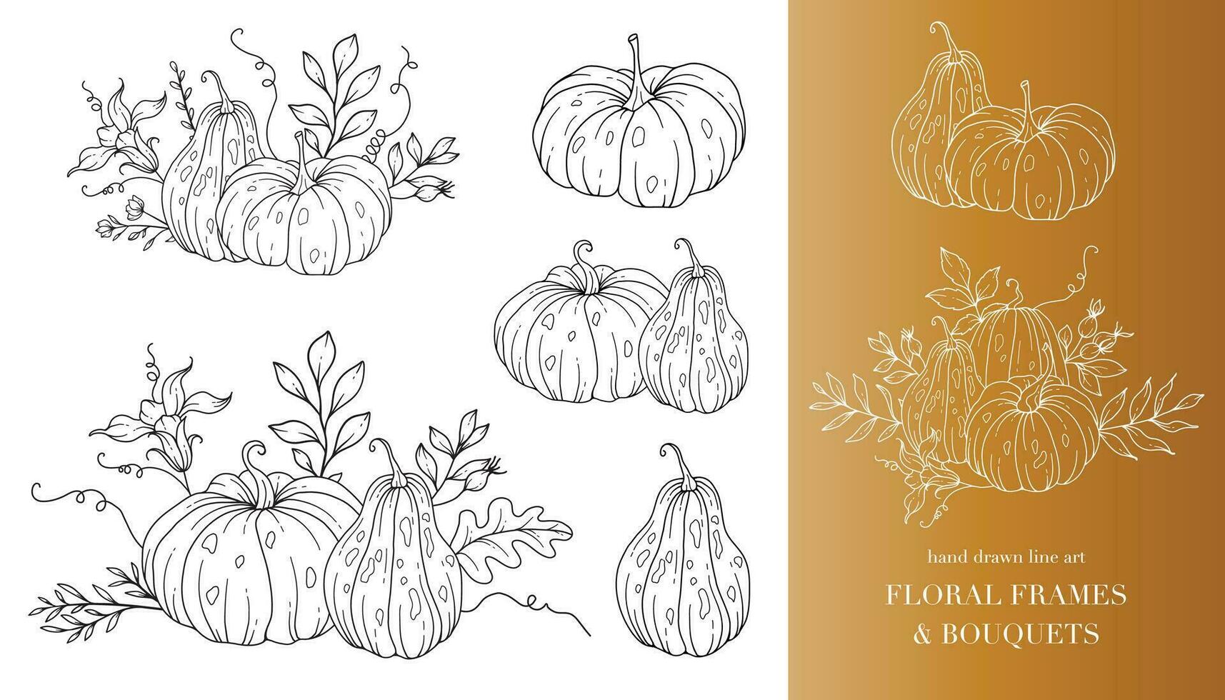 Pumpkins Line Art Illustration, Outline Pumpkin arrangement Hand Drawn Illustration. Coloring Page with Pumpkins.  Thanksgiving Pumpkins Frame. Thanksgiving Pumpkins set vector
