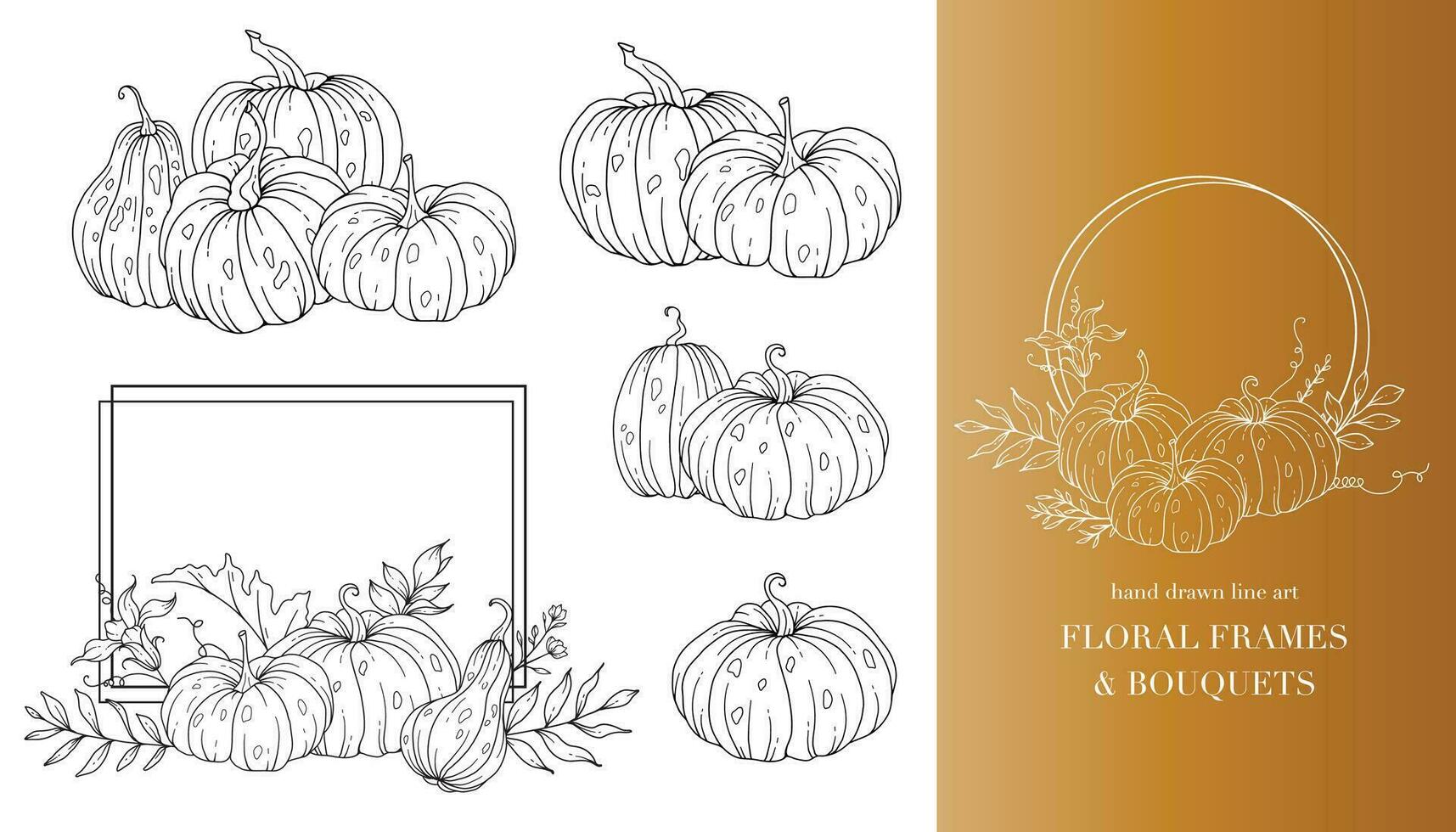 Pumpkins Line Art Illustration, Outline Pumpkin arrangement Hand Drawn Illustration. Coloring Page with Pumpkins.  Thanksgiving Pumpkins Frame. Thanksgiving Pumpkins set vector