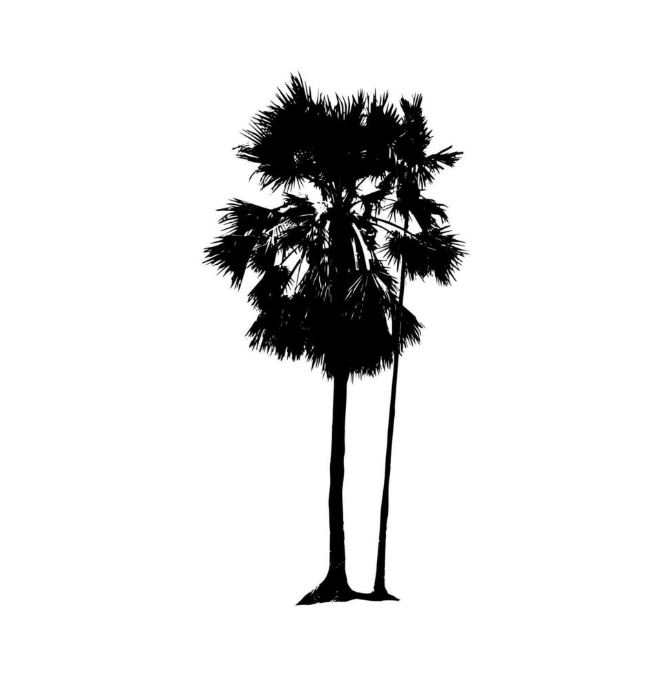 palm tree silhouette vector illustration, silhouette of  palm tree on white background vector art,  black color ,