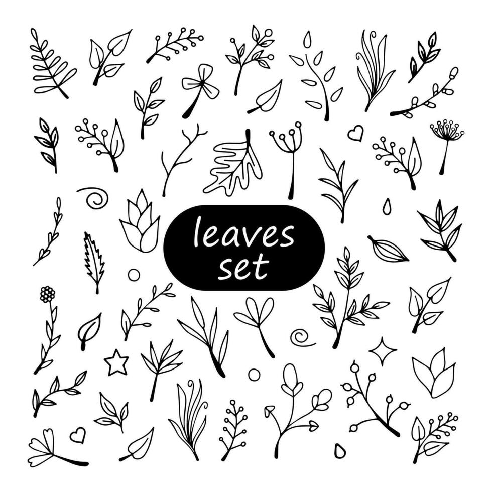 set of vector doodle leaves and twigs