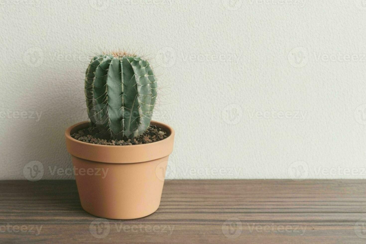 Cactus in minimalist pot. background. AI Generative Pro Photo