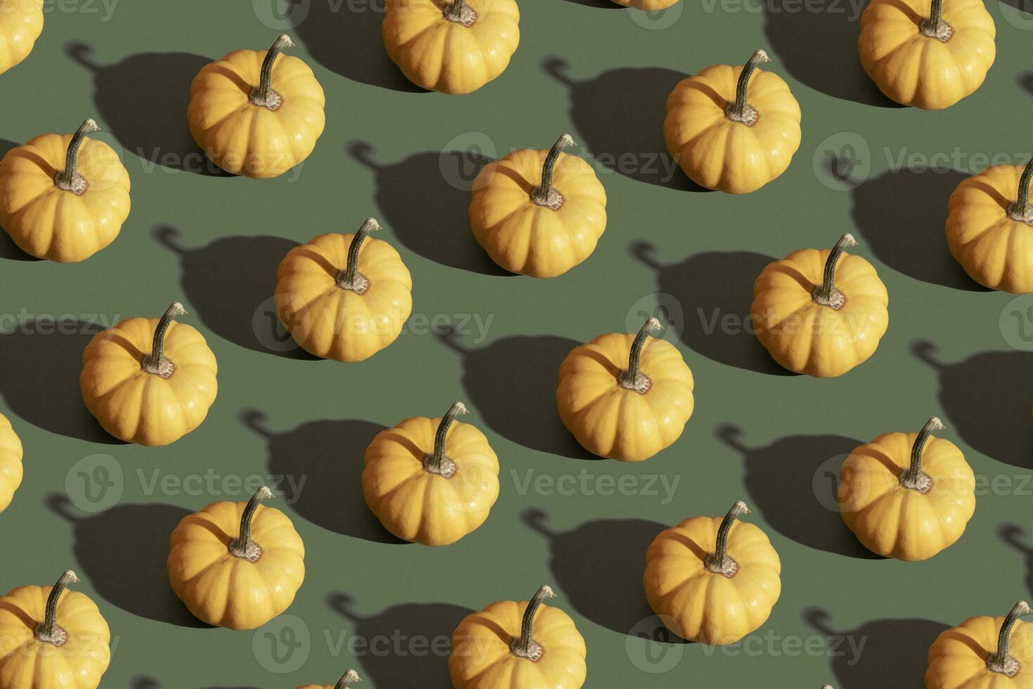 Orange pumpkin pattern on green background. Moderm backdrop for fall, thanksgiving day photo