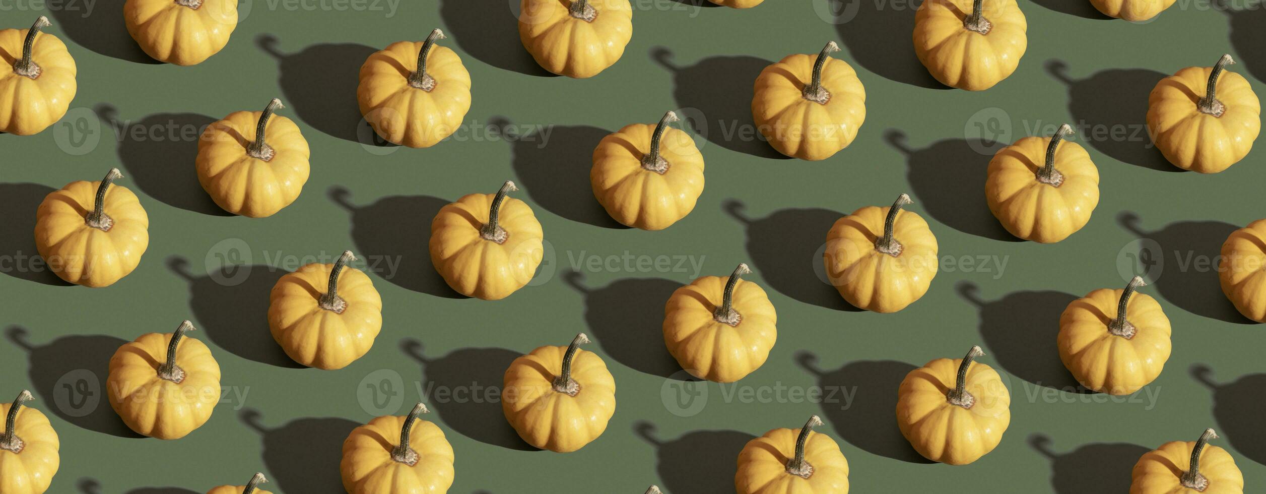 Banner with orange pumpkin pattern on green background. Moderm backdrop for fall, thanksgiving day photo