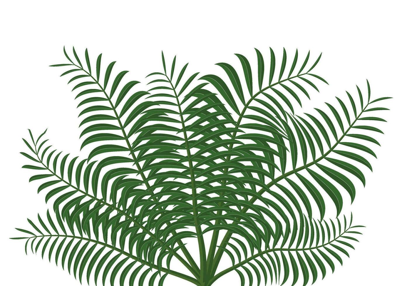 tropical hojas planta aislado icono vector ilustración diseño vector ilustración diseño, dos palma hojas son mostrado en un blanco antecedentes
