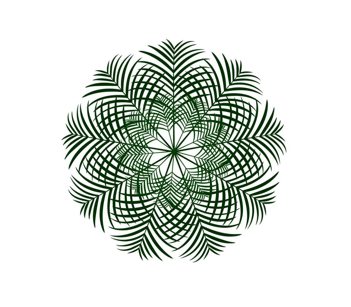 tropical hojas planta aislado icono vector ilustración diseño vector ilustración diseño, dos palma hojas son mostrado en un blanco antecedentes