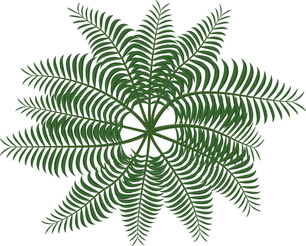 tropical leaves plant isolated icon vector illustration design  vector illustration design, two palm leaves are shown on a white background