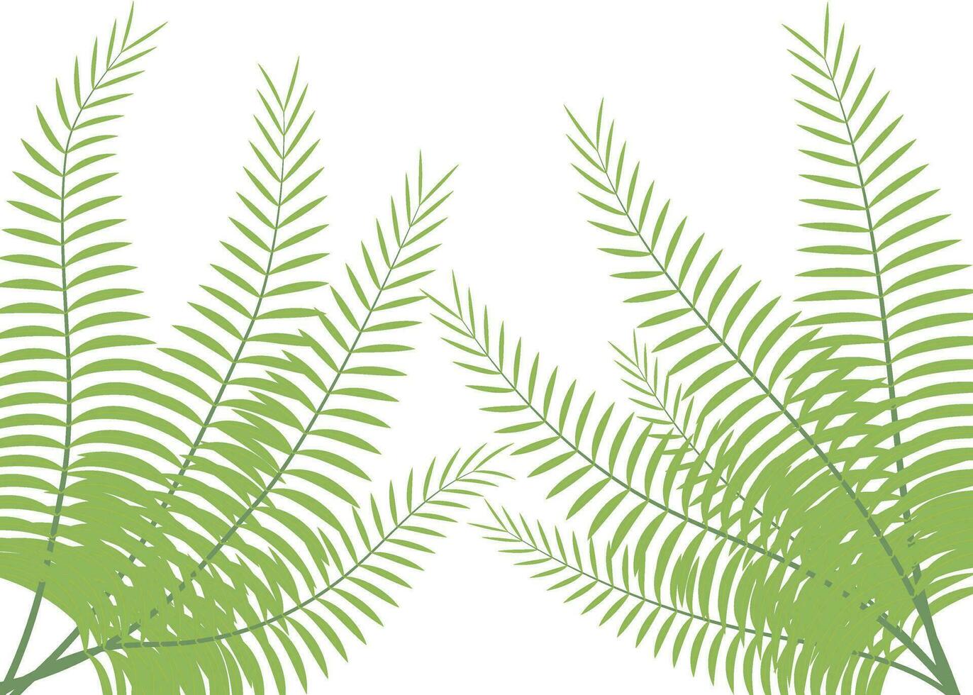 tropical leaves plant isolated icon vector illustration design  vector illustration design, two palm leaves are shown on a white background
