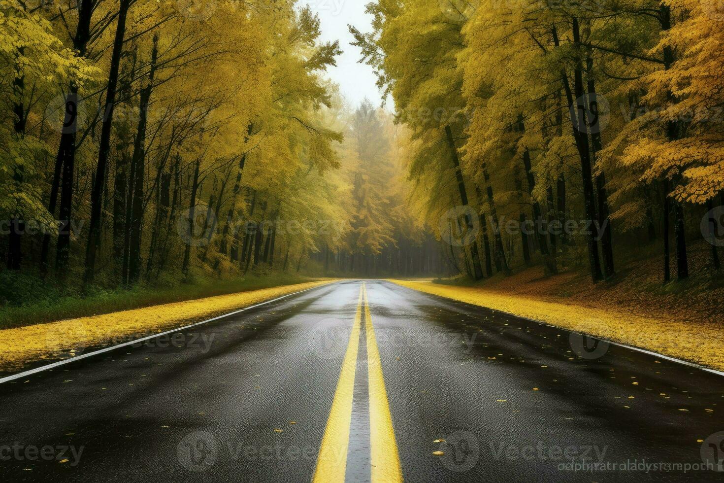 Asphalt concrete road with fallen leaves in autumn, AI generated photo