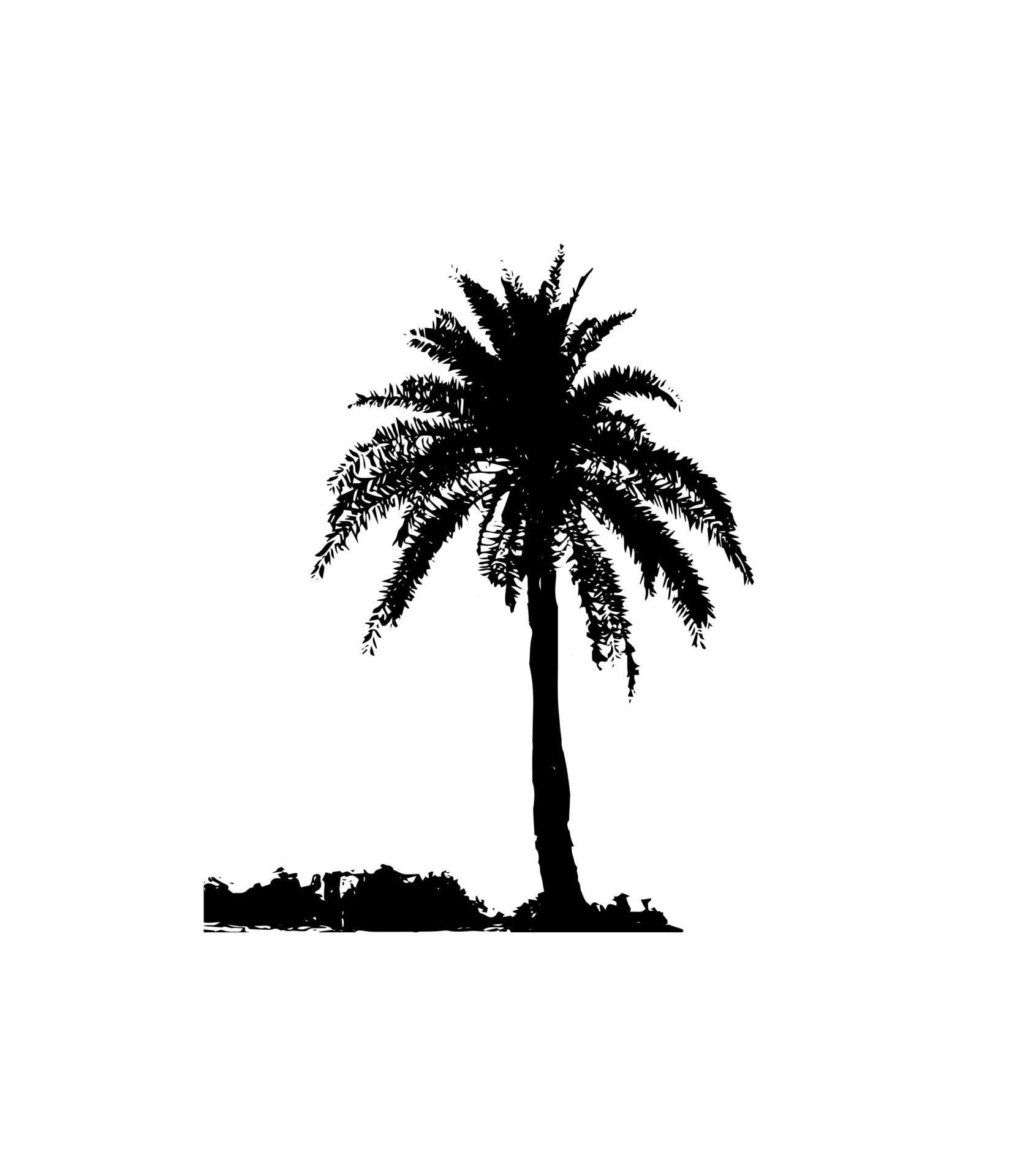 a black and white illustration of a palm tree, silhouette of palm tree
