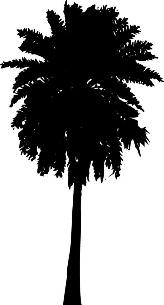 un negro y blanco ilustración de un palma árbol, silueta de palma árbol en blanco antecedentes vector arte, negro color