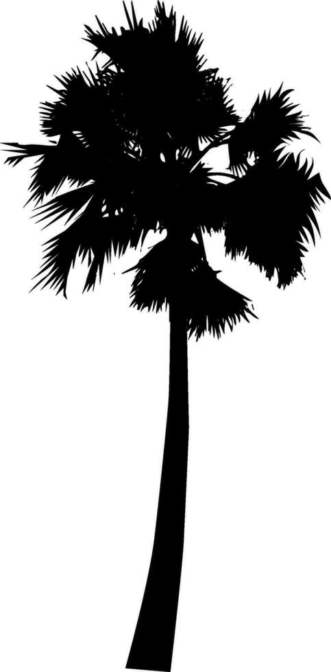 un negro y blanco ilustración de un palma árbol, silueta de palma árbol en blanco antecedentes vector arte, negro color