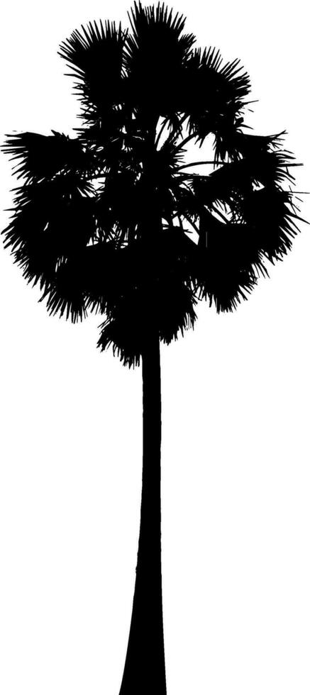 un negro y blanco ilustración de un palma árbol, silueta de palma árbol en blanco antecedentes vector arte, negro color