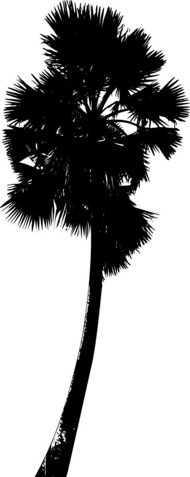 un negro y blanco ilustración de un palma árbol, silueta de palma árbol en blanco antecedentes vector arte, negro color