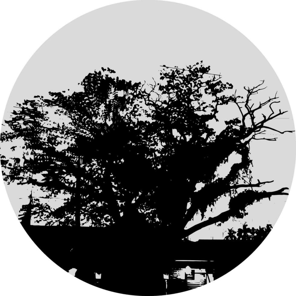 a black and white photo of a large tree, silhouette of mango  tree on white background vector art,  black color